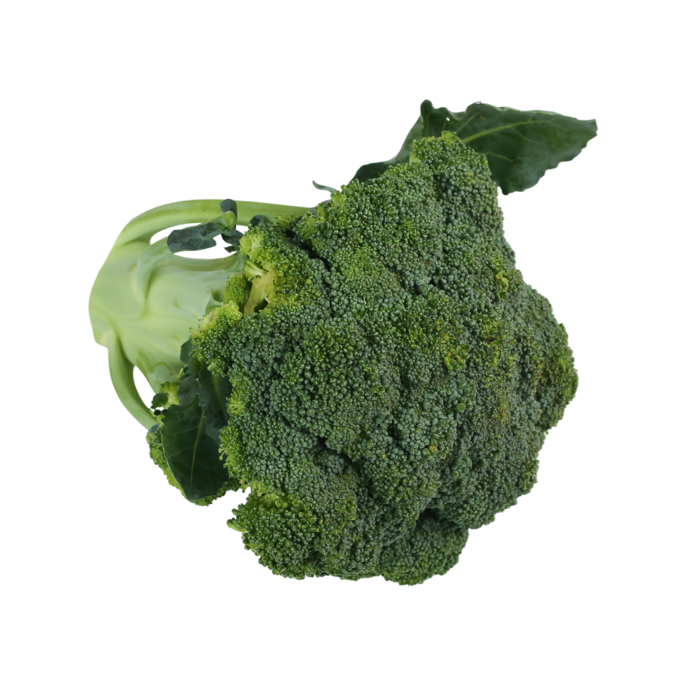 Broccoli