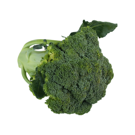 Broccoli