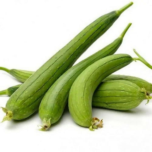 Ridge Gourd
