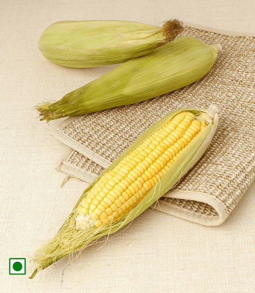 Sweet Corn